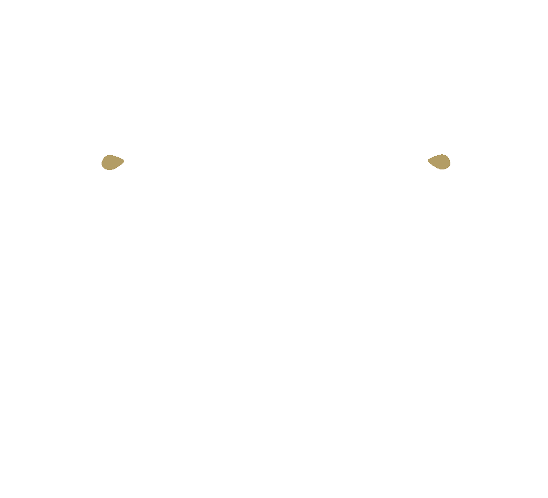Karma-logo-vertical